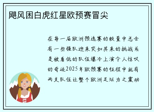 飓风困白虎红星欧预赛冒尖