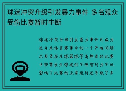 球迷冲突升级引发暴力事件 多名观众受伤比赛暂时中断